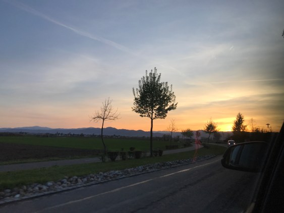 64880E09-053A-4CD5-8F99-0303C6A823F8