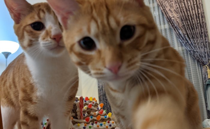 To 2020, with loathe&nbsp;(love)