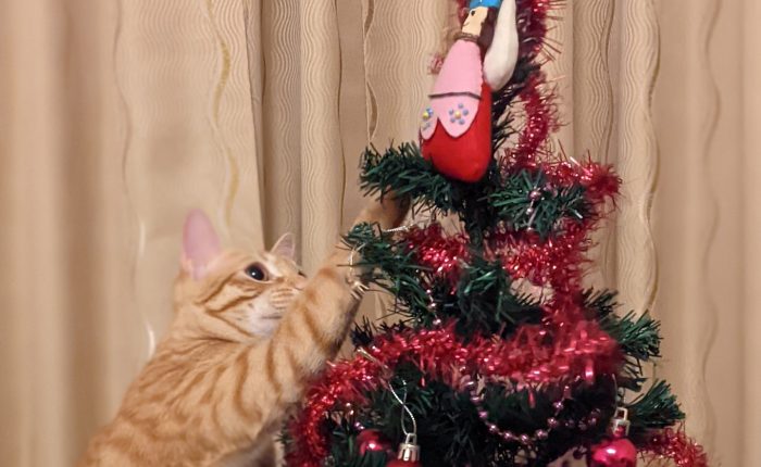 On Christmas Eve…during a seemingly never ending&nbsp;pandemic